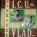 I.C.U.
