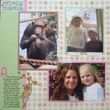 2006-06 Monkey Business