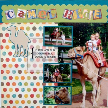 2008-07 Camel Ride