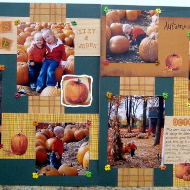 2004-10 Pumpkins 4-Sale