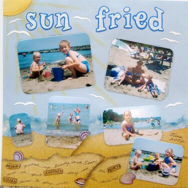 2002-06 Sun Fried