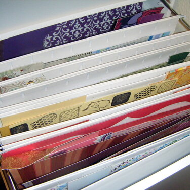 Scrap Paper Organization (in 12x12 Filing Cabinet)