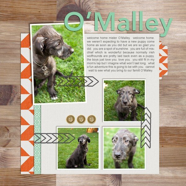 welcoming O&#039;Malley