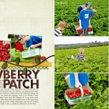 The Strawberry Patch