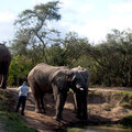 Relaxing at water Hole