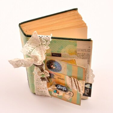 Altered Book Project