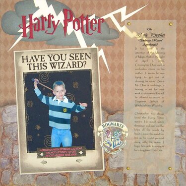 Have You Seen This Wizard?