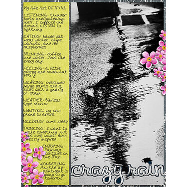 crazy rain- life list 05/17/12