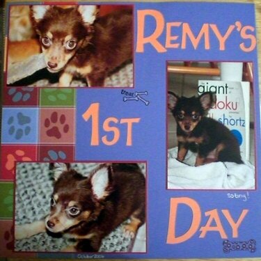 Remy&#039;s First Day