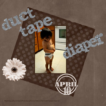 Duct Tape Diaper p365 day 100