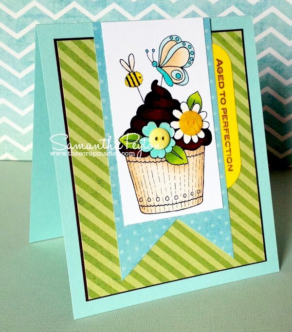 Aged to Perfection Cupcake Card