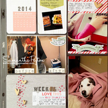 Project Life Week 6 Layout