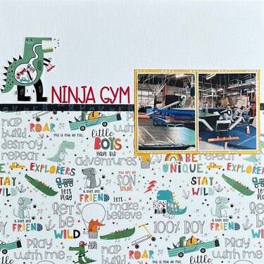 Ninja gym