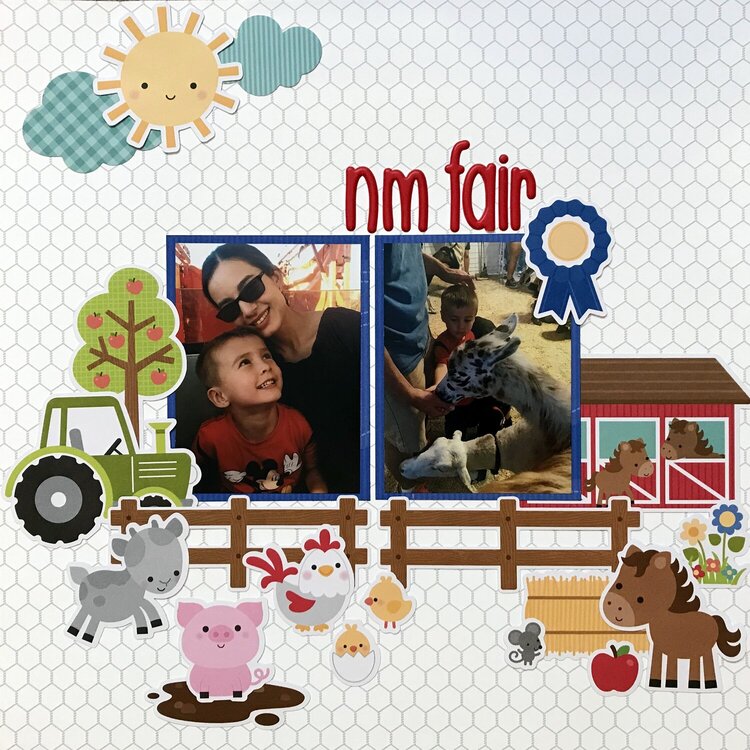 NM Fair