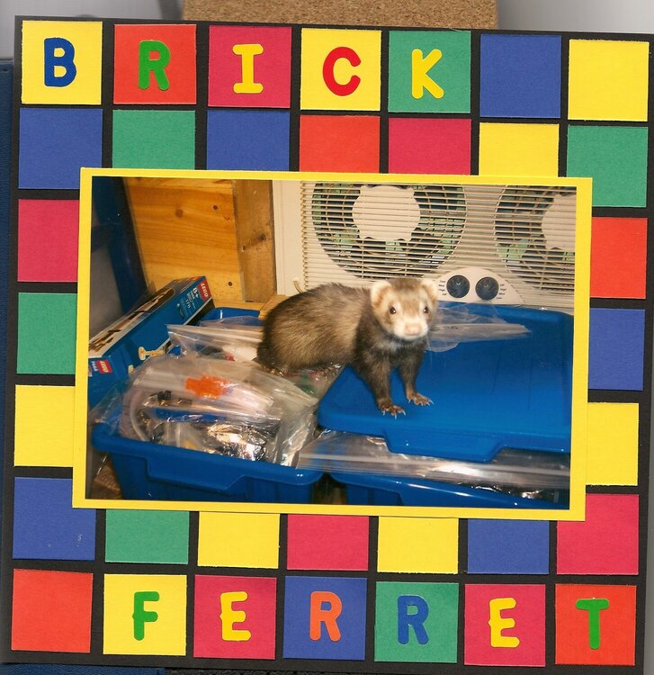 brick ferret