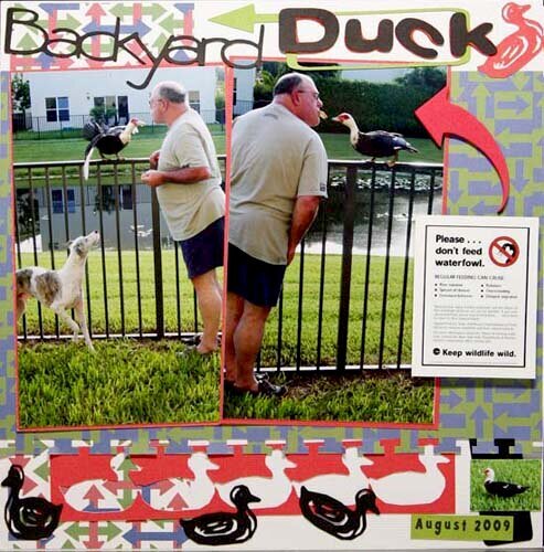 Backyard Duck