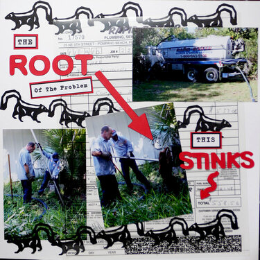 Roots in the Septic System
