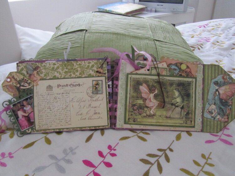 Caitlyn&#039;s Fairy Book