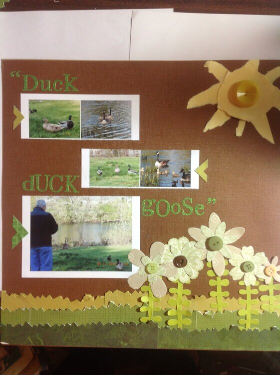 Duck, duck, goose.