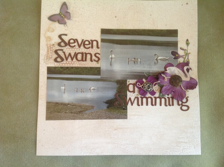 Seven swans a swimming.