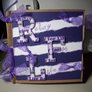 Relay for Life Paper Bag Album