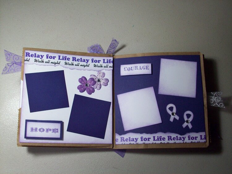 Relay for Life Paper Bag Album