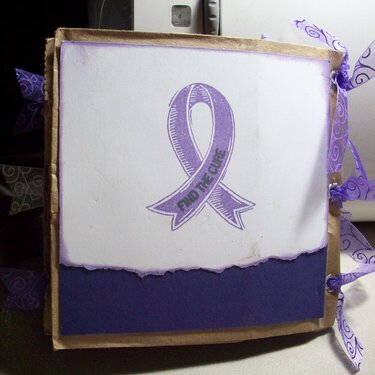 Relay for Life Paper Bag Album