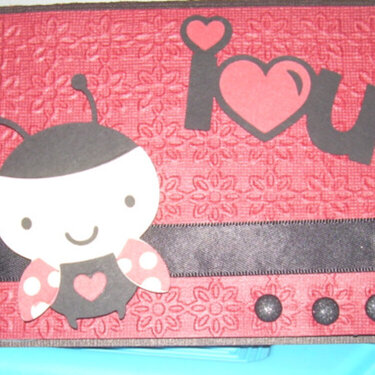 Ladybug Card