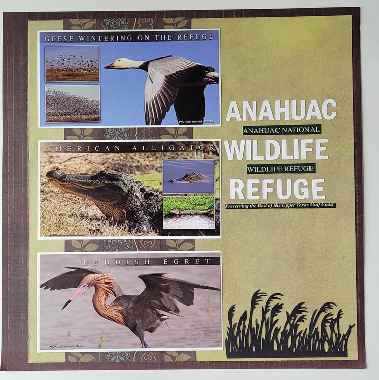ANAHUAC National Wildlife Refuge.