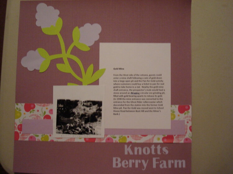 Knotts Berry Farm (4th)