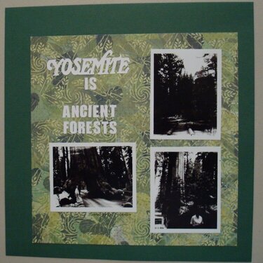 Yosemite is... Ancient Forests