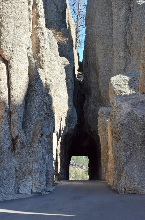 One of the tunnels on Needles HWY, SD
