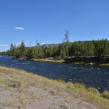 The Madison River