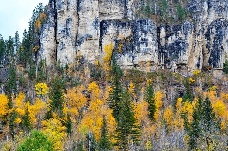 Spearfish Canyon dressed in Fall Finery