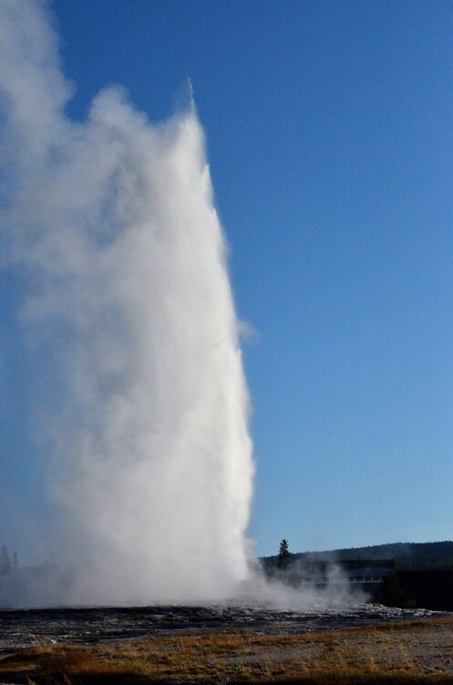 Yellowstone- Old Faithful from the backside.