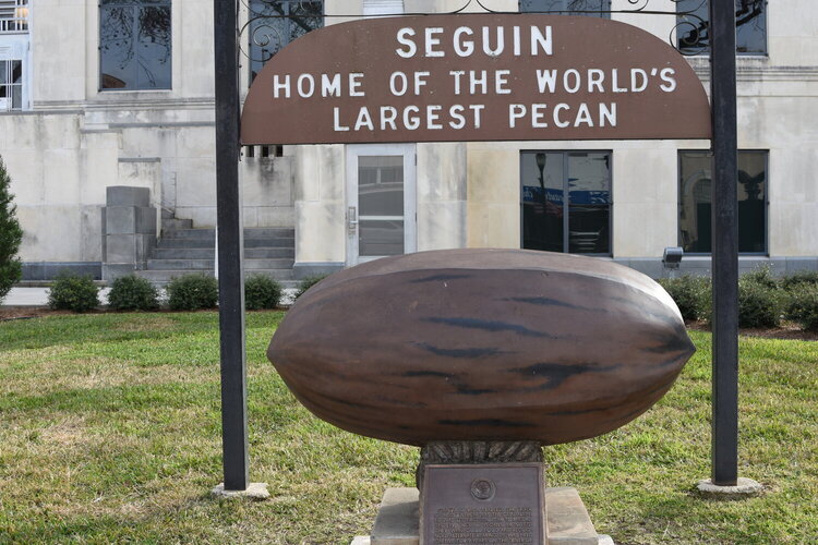 World&#039;s Largest Pecan