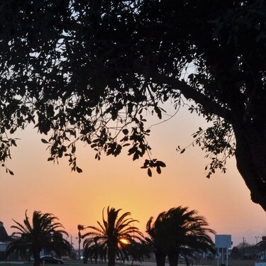 Port Lavaca Sunset