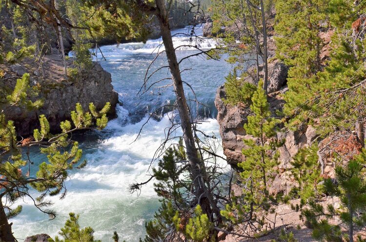 Brink of the Upper Falls - Yellowstone River