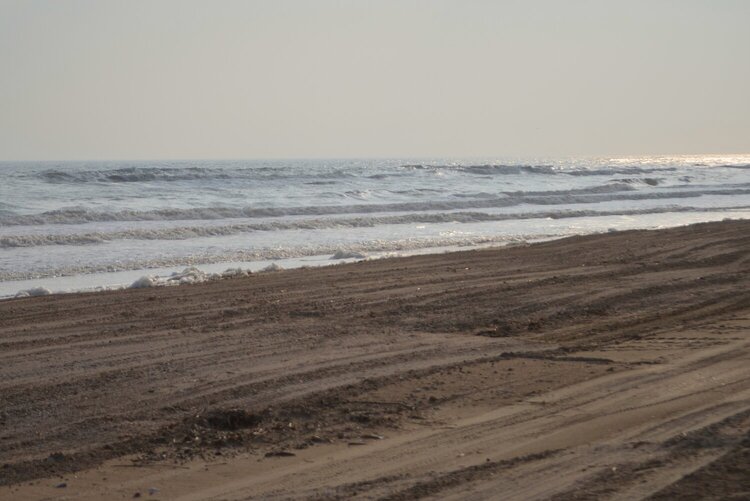Feb POD #2 - Gulf of Mexico