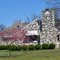 Rock House and Flowering Tree April #4