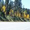 Aspen on Needles HWY, SD