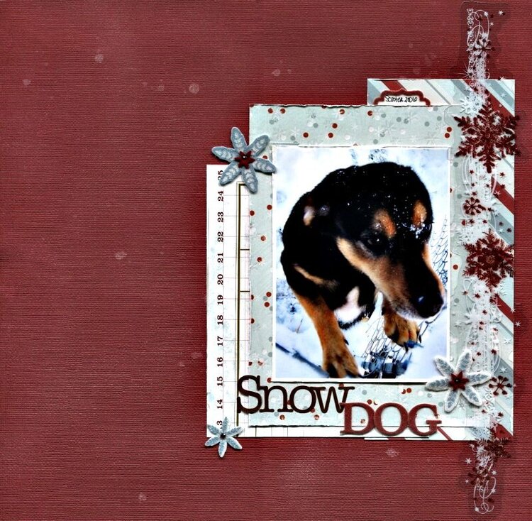 Snow Dog *Citrus Tree Studio Dec. Kit*