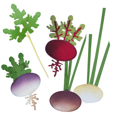 Turnip, Onion, Beet or Herb?