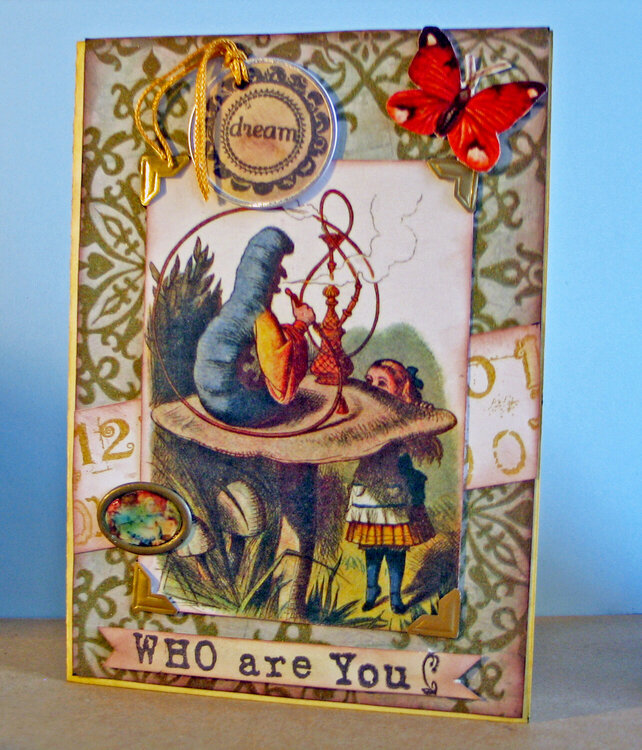 Who Are You? Alice Card