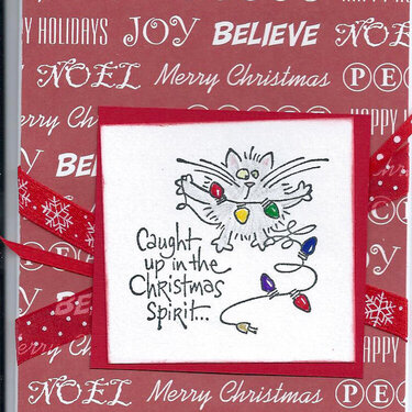 Christmas 2012 - Caught Up in the Christmas Spirit