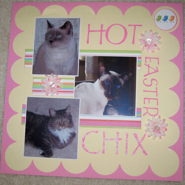 Hot Easter Chix 2009