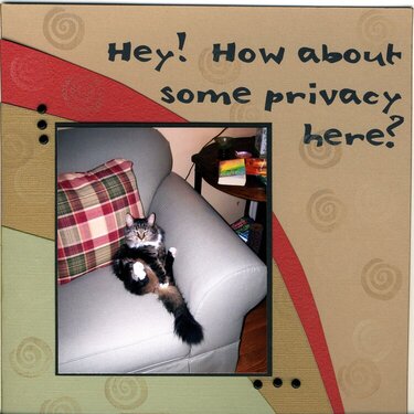 Privacy, Please!