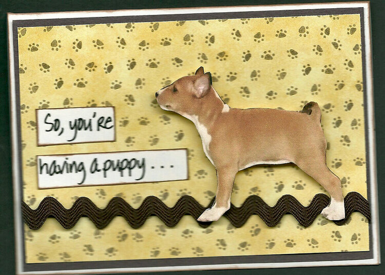 So, You&#039;re Having a Puppy...