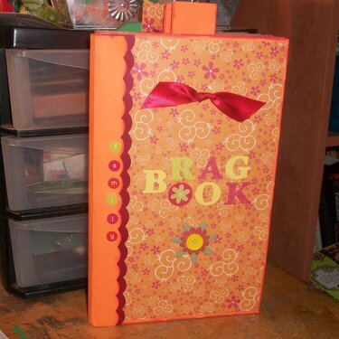 Brown Bag Album-Family Brag Book