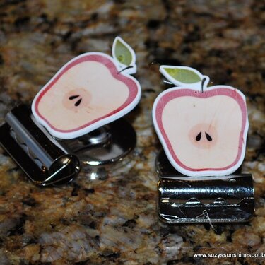 Apple Magnetic Clips